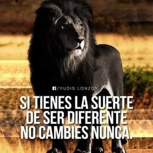 Meet your Posher, Rafael